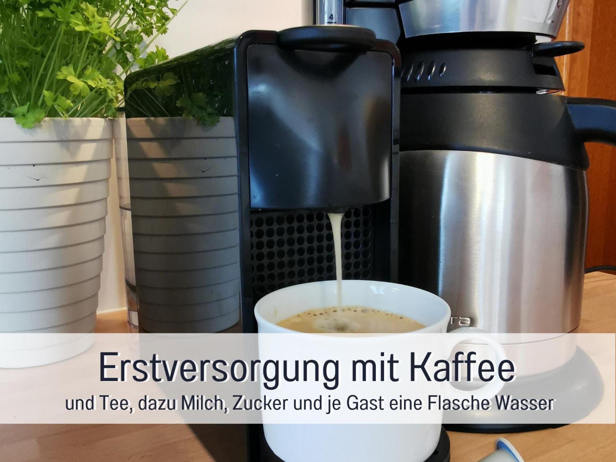 Ferienhaus Schwaab-Scherr, Genau Zwischen Bernkastel-Kues Und Traben-Trarbach, Mit Kostenlosem Oepnv-Ticket Fuer Bus Und Bahn, Parkplaetzen, Fahrradgarage Und Vielen Tipps Erden Bagian luar foto