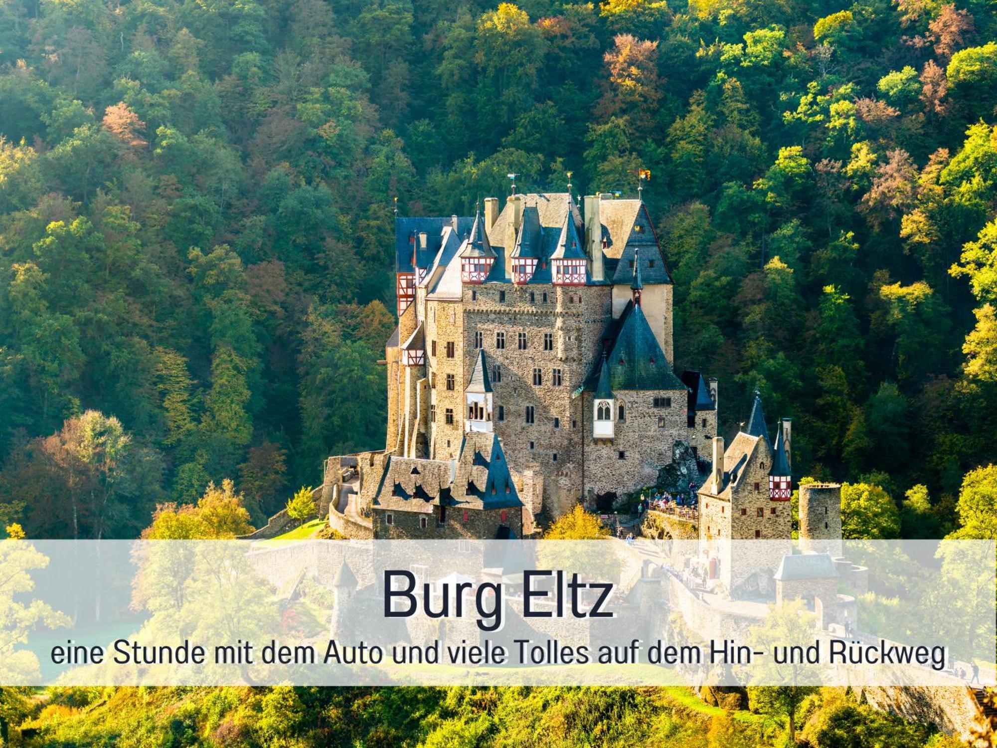 Ferienhaus Schwaab-Scherr, Genau Zwischen Bernkastel-Kues Und Traben-Trarbach, Mit Kostenlosem Oepnv-Ticket Fuer Bus Und Bahn, Parkplaetzen, Fahrradgarage Und Vielen Tipps Erden Bagian luar foto