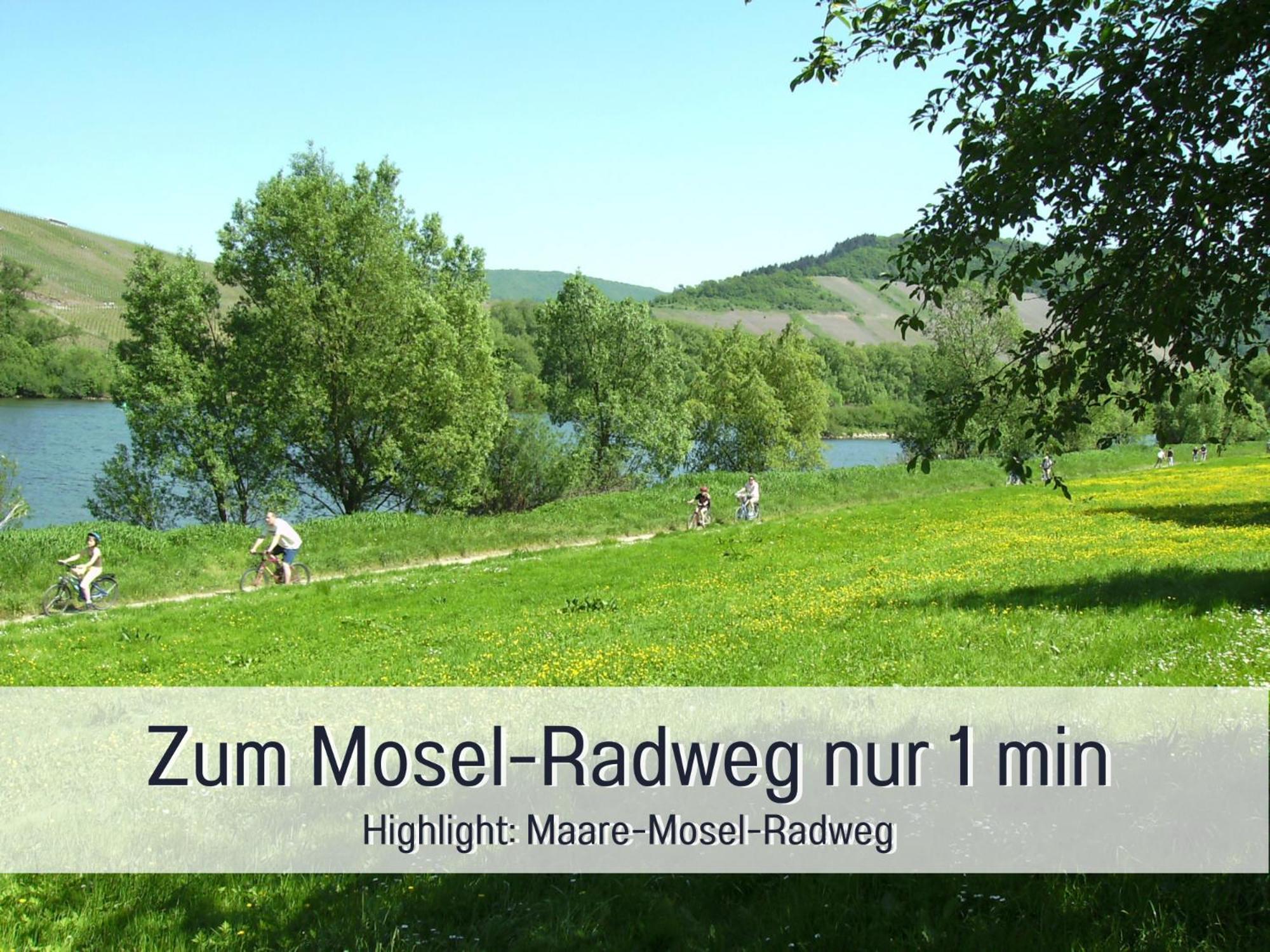 Ferienhaus Schwaab-Scherr, Genau Zwischen Bernkastel-Kues Und Traben-Trarbach, Mit Kostenlosem Oepnv-Ticket Fuer Bus Und Bahn, Parkplaetzen, Fahrradgarage Und Vielen Tipps Erden Bagian luar foto