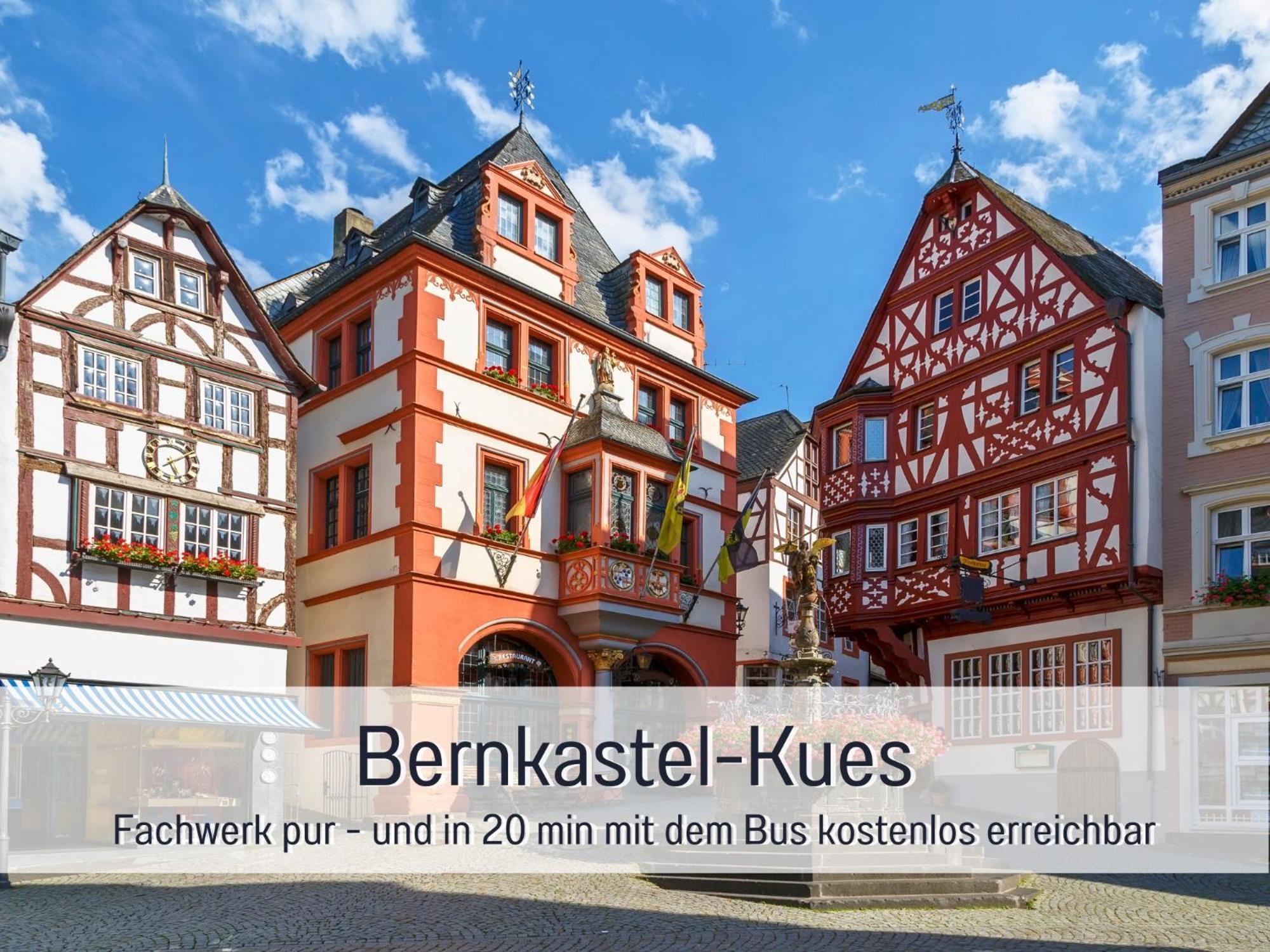 Ferienhaus Schwaab-Scherr, Genau Zwischen Bernkastel-Kues Und Traben-Trarbach, Mit Kostenlosem Oepnv-Ticket Fuer Bus Und Bahn, Parkplaetzen, Fahrradgarage Und Vielen Tipps Erden Bagian luar foto