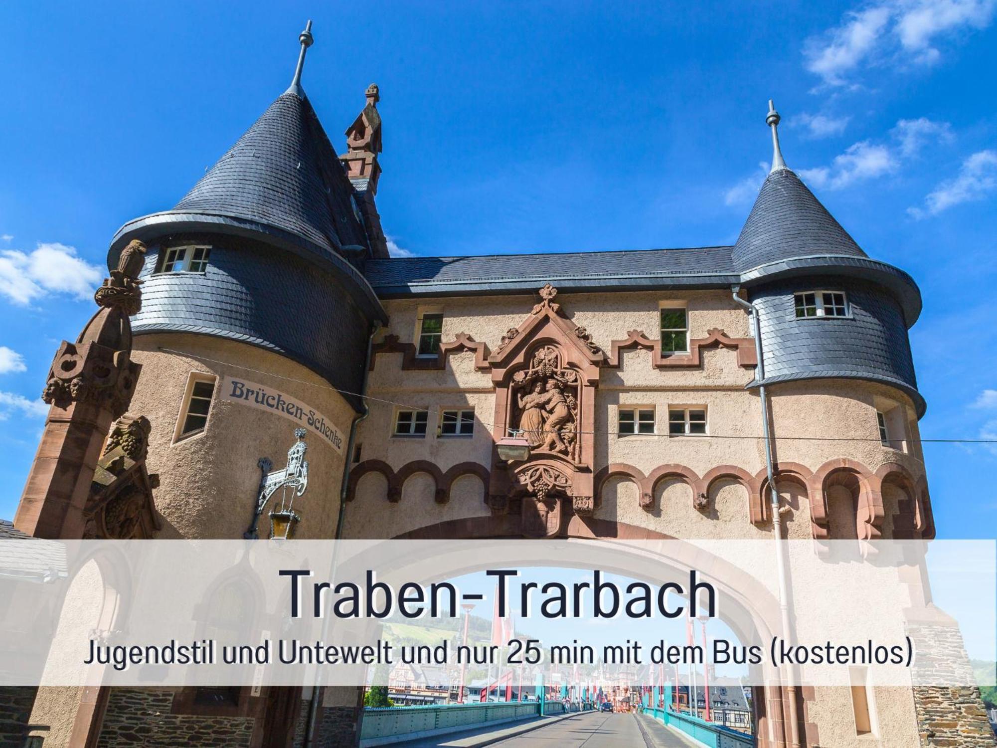 Ferienhaus Schwaab-Scherr, Genau Zwischen Bernkastel-Kues Und Traben-Trarbach, Mit Kostenlosem Oepnv-Ticket Fuer Bus Und Bahn, Parkplaetzen, Fahrradgarage Und Vielen Tipps Erden Bagian luar foto