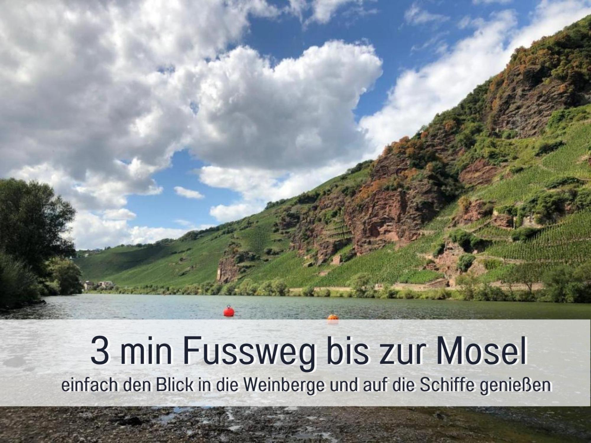Ferienhaus Schwaab-Scherr, Genau Zwischen Bernkastel-Kues Und Traben-Trarbach, Mit Kostenlosem Oepnv-Ticket Fuer Bus Und Bahn, Parkplaetzen, Fahrradgarage Und Vielen Tipps Erden Bagian luar foto