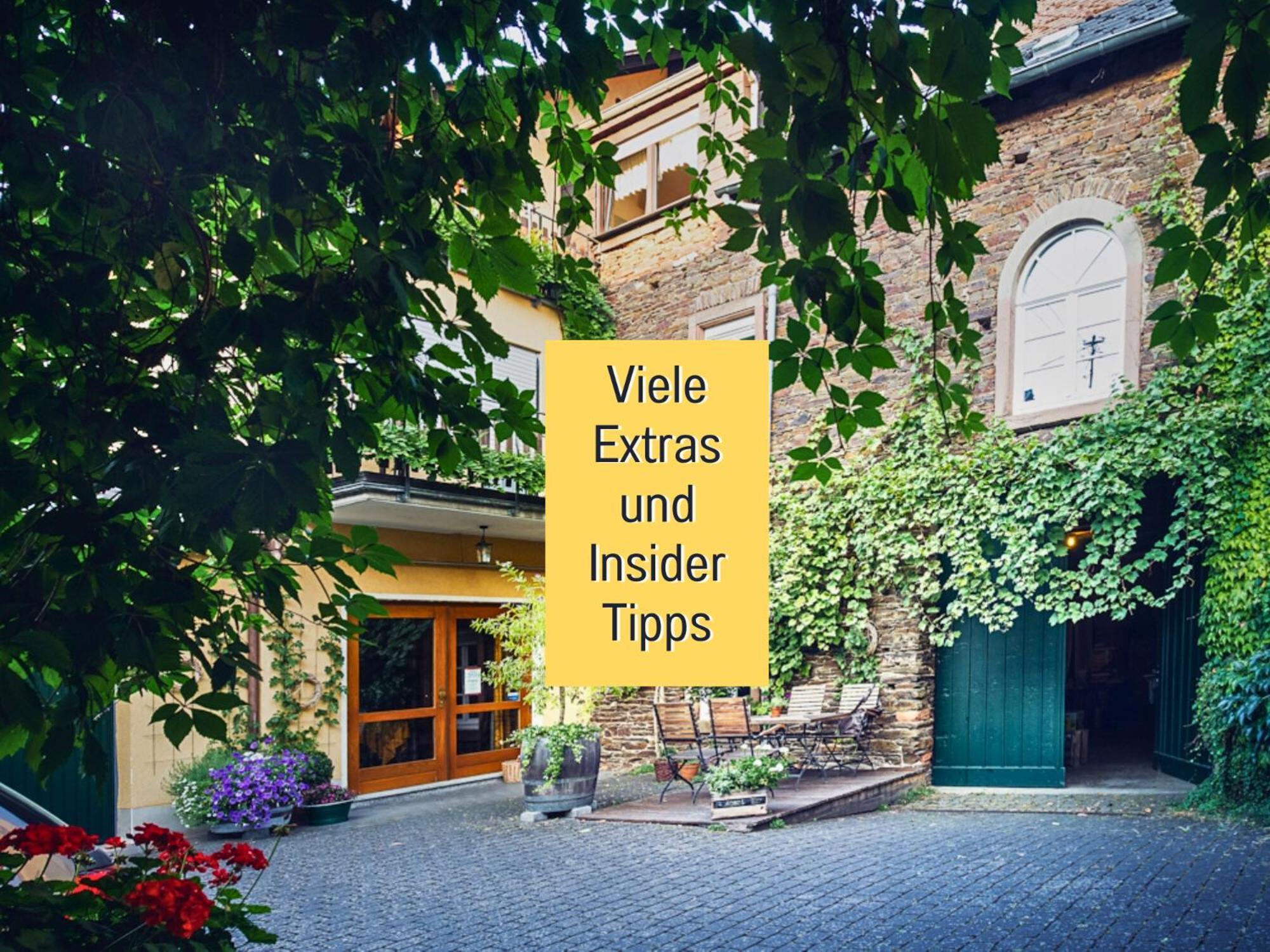 Ferienhaus Schwaab-Scherr, Genau Zwischen Bernkastel-Kues Und Traben-Trarbach, Mit Kostenlosem Oepnv-Ticket Fuer Bus Und Bahn, Parkplaetzen, Fahrradgarage Und Vielen Tipps Erden Bagian luar foto